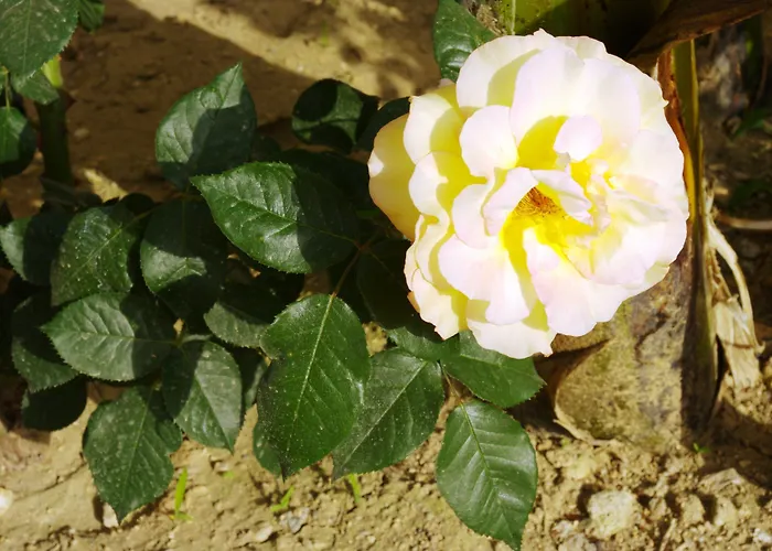 Tsambika Sun מלון ארכאנגלוס